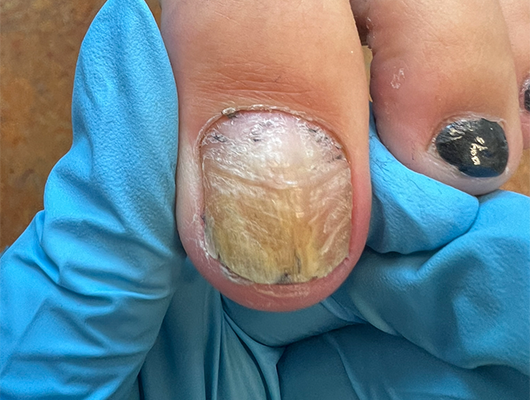 Untitled-1-Recovered-Recovered-Recoveredasd