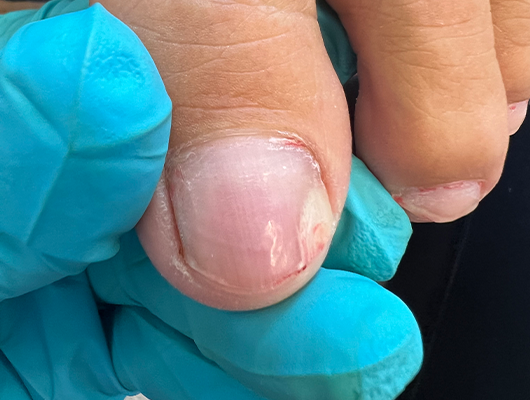 Untitled-1-Recovered-Recovered-Recovereddfgh