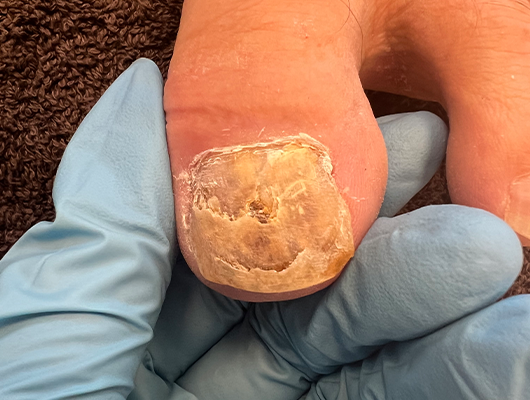 Untitled-1-Recovered-Recovered-Recoveredsd